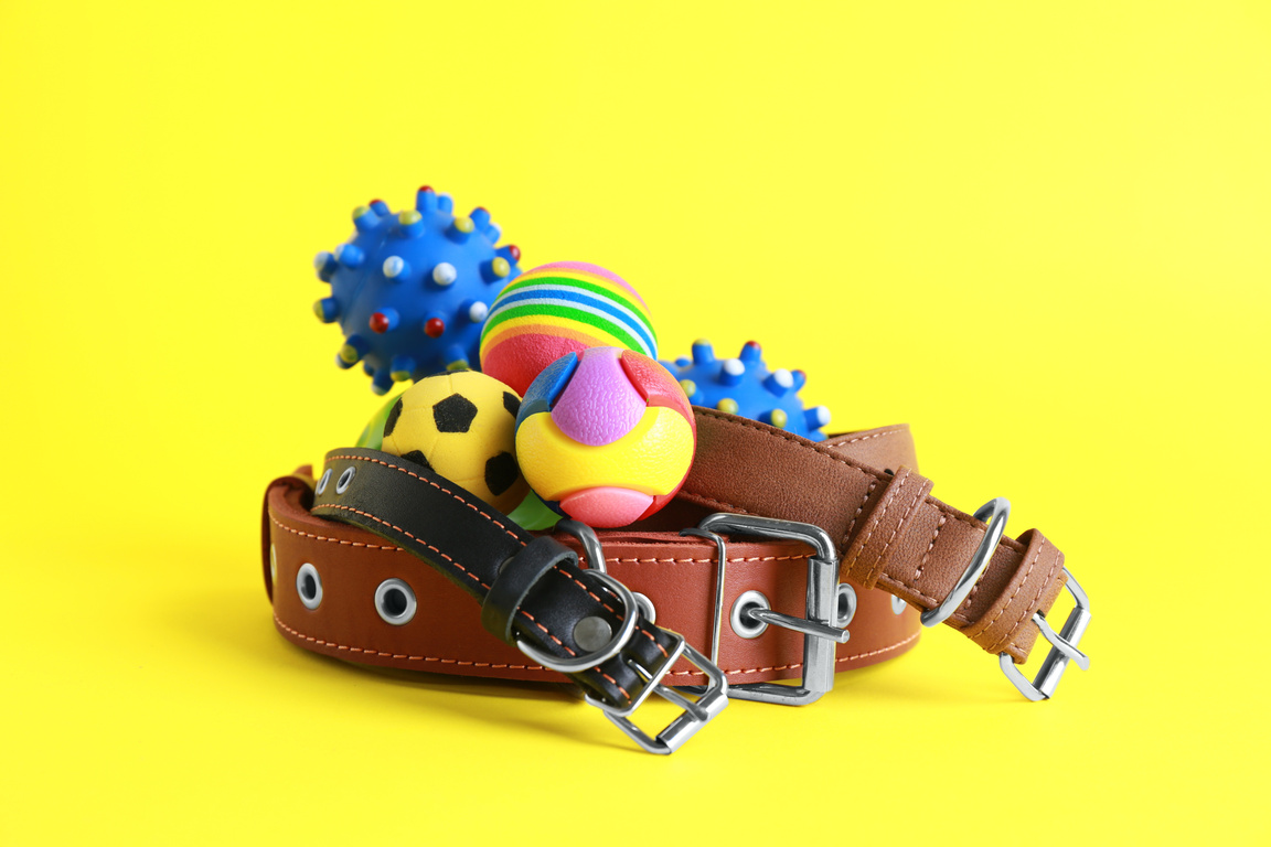 Pet Toys and Collars on Yellow Background